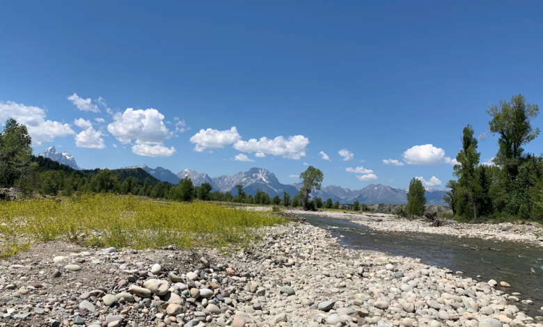 spread creek dispersed camping